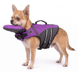 PawFloat lifejacket