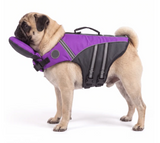PawFloat lifejacket