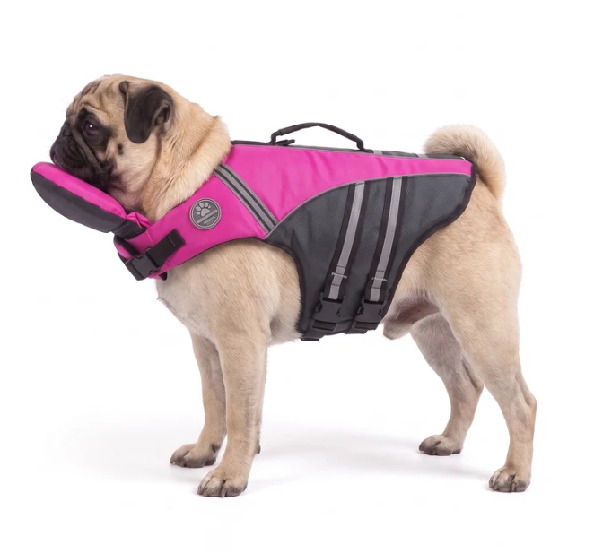 PawFloat lifejacket