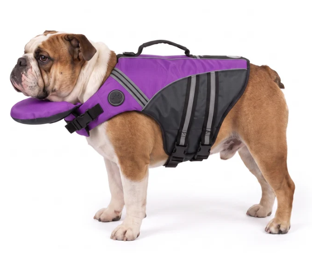 PawFloat lifejacket
