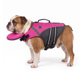 PawFloat lifejacket