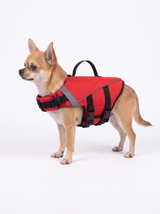 PawFloat lifejacket
